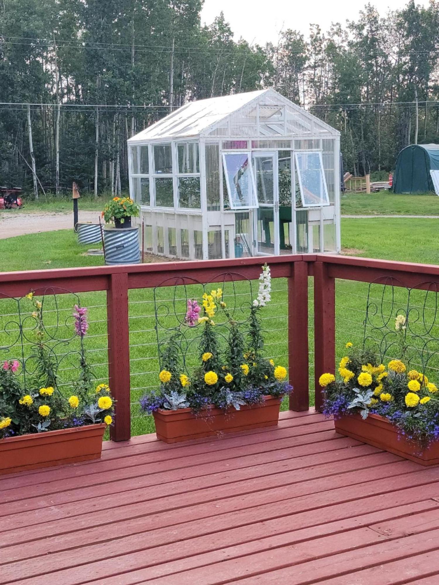 Alaska Country Inn Delta Junction Εξωτερικό φωτογραφία