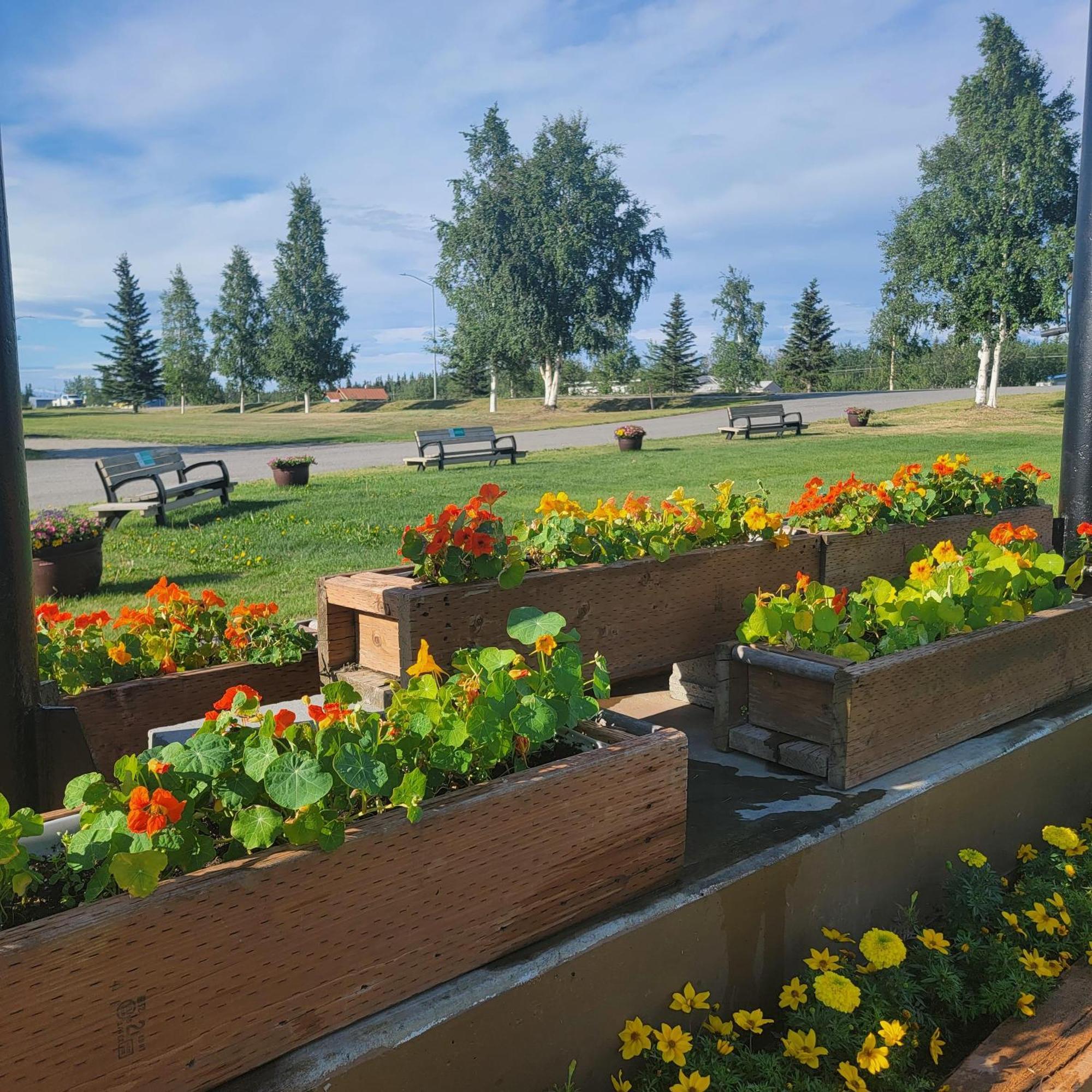 Alaska Country Inn Delta Junction Εξωτερικό φωτογραφία